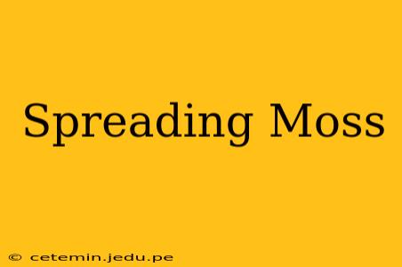Spreading Moss