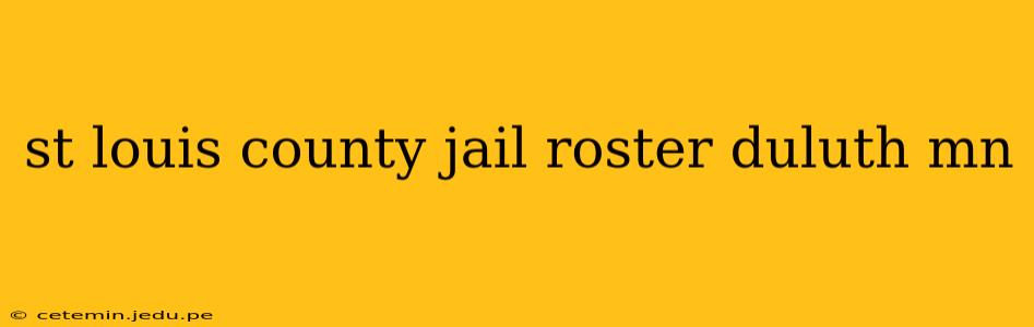 st louis county jail roster duluth mn