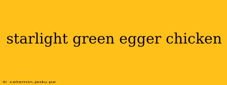 starlight green egger chicken