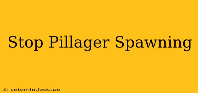 Stop Pillager Spawning