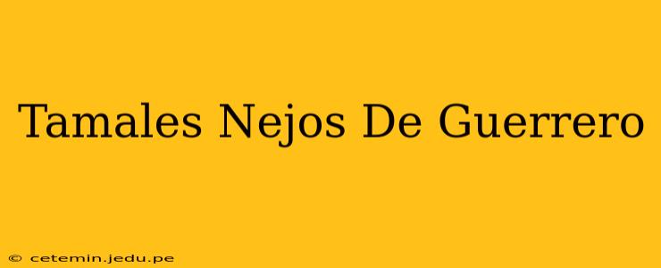Tamales Nejos De Guerrero