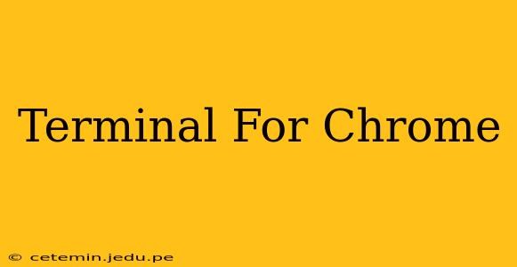 Terminal For Chrome