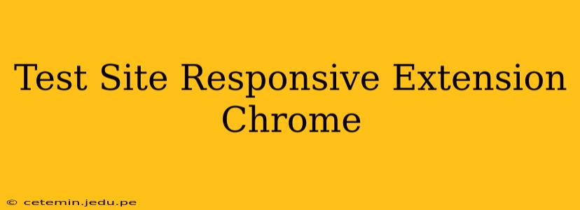Test Site Responsive Extension Chrome