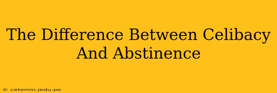 The Difference Between Celibacy And Abstinence