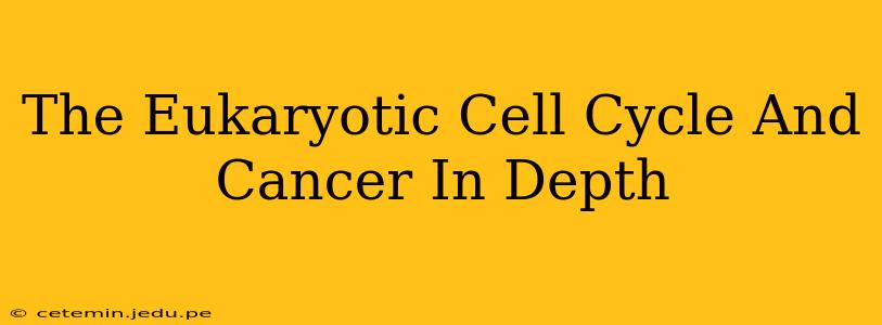 The Eukaryotic Cell Cycle And Cancer In Depth