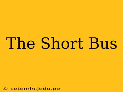 The Short Bus
