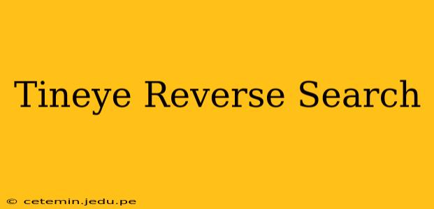 Tineye Reverse Search