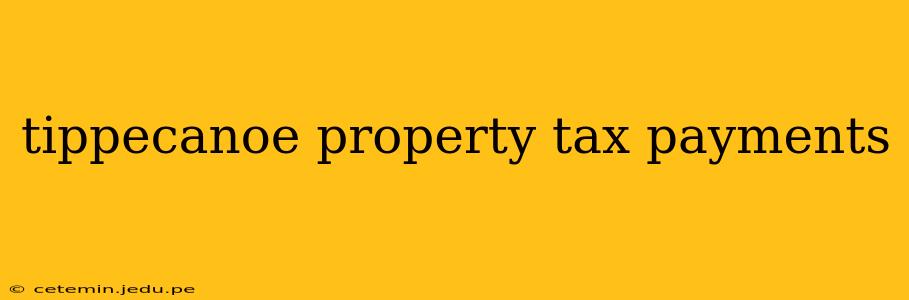 tippecanoe property tax payments