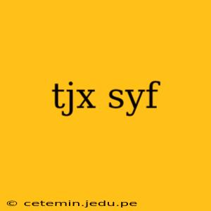 tjx syf