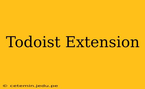 Todoist Extension