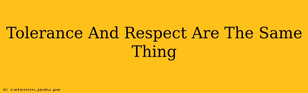 Tolerance And Respect Are The Same Thing