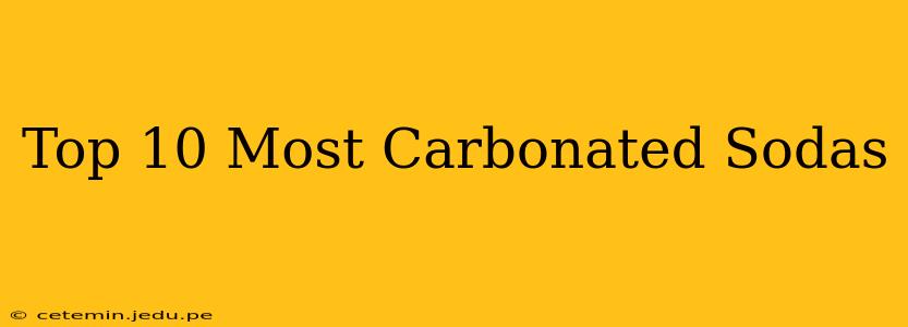 Top 10 Most Carbonated Sodas