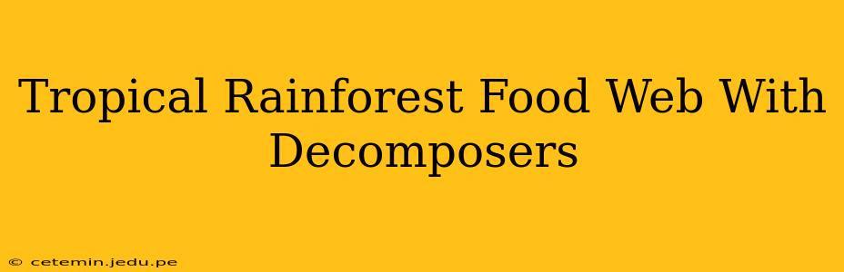 Tropical Rainforest Food Web With Decomposers