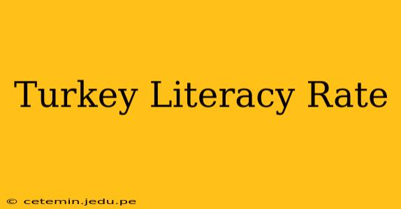 Turkey Literacy Rate