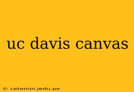 uc davis canvas
