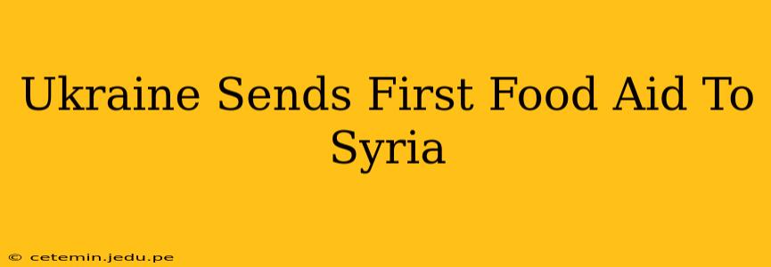 Ukraine Sends First Food Aid To Syria