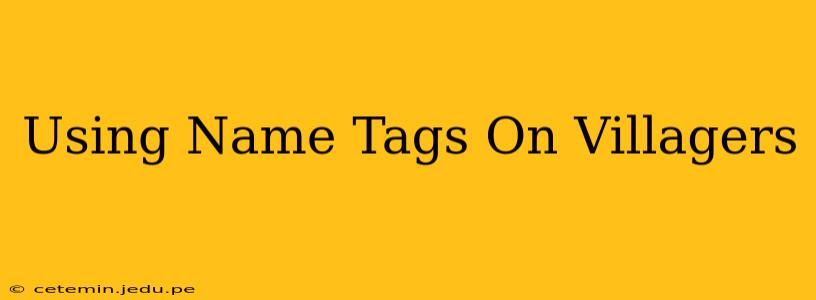Using Name Tags On Villagers