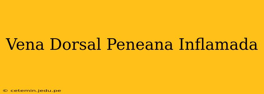 Vena Dorsal Peneana Inflamada