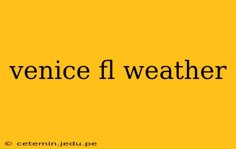 venice fl weather