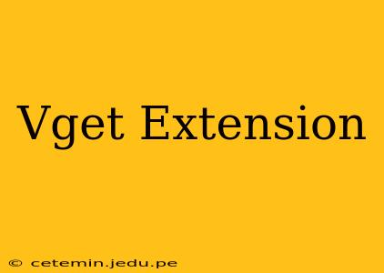 Vget Extension