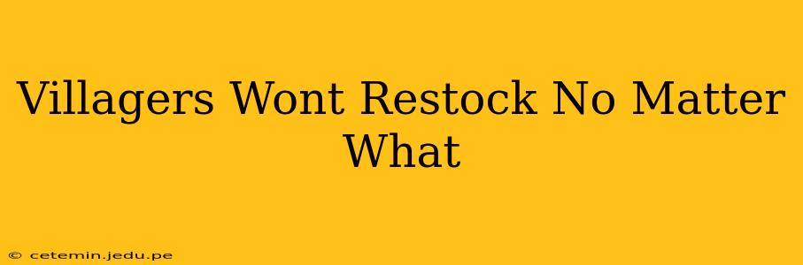 Villagers Wont Restock No Matter What