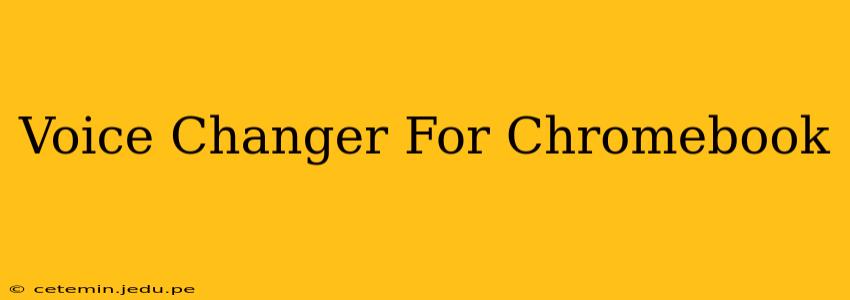 Voice Changer For Chromebook