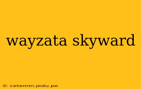 wayzata skyward