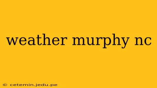 weather murphy nc