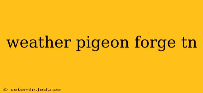 weather pigeon forge tn