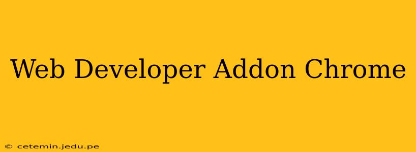 Web Developer Addon Chrome