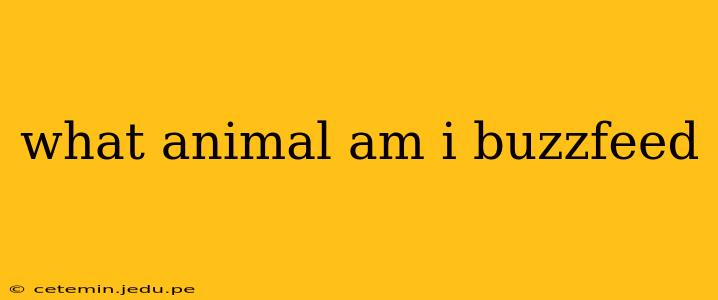 what animal am i buzzfeed