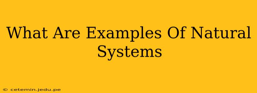 What Are Examples Of Natural Systems