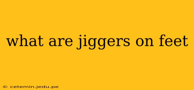 what are jiggers on feet