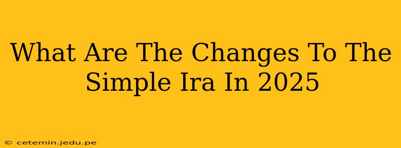 What Are The Changes To The Simple Ira In 2025