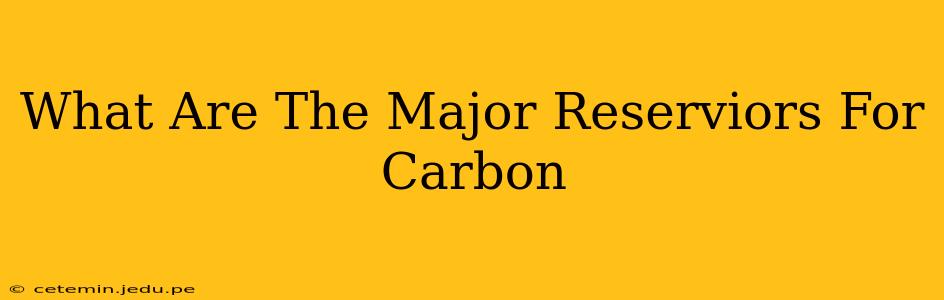 What Are The Major Reserviors For Carbon