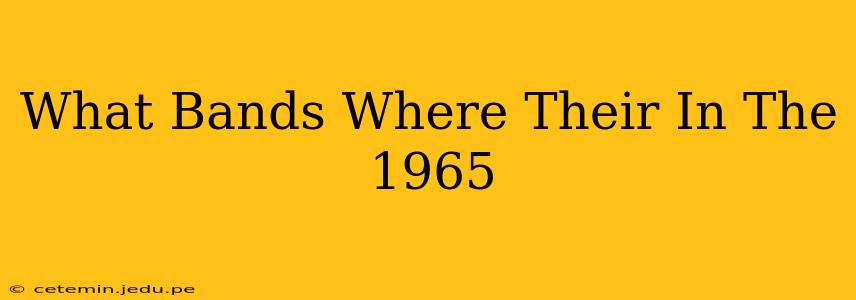 What Bands Where Their In The 1965