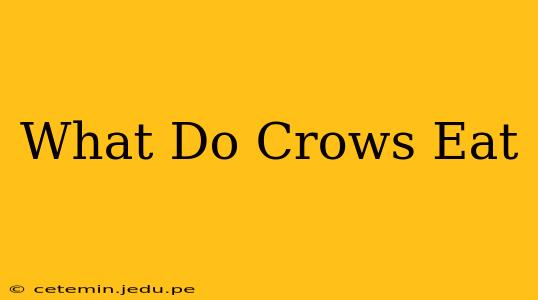 What Do Crows Eat