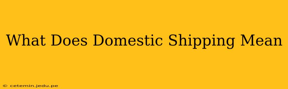 What Does Domestic Shipping Mean