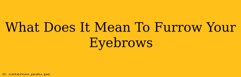 What Does It Mean To Furrow Your Eyebrows