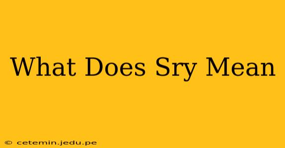 What Does Sry Mean