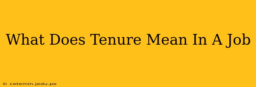 What Does Tenure Mean In A Job