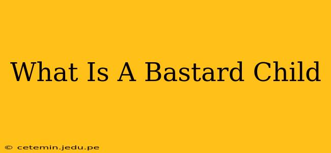 What Is A Bastard Child
