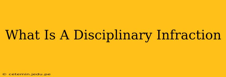 What Is A Disciplinary Infraction
