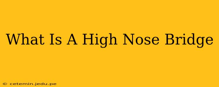What Is A High Nose Bridge