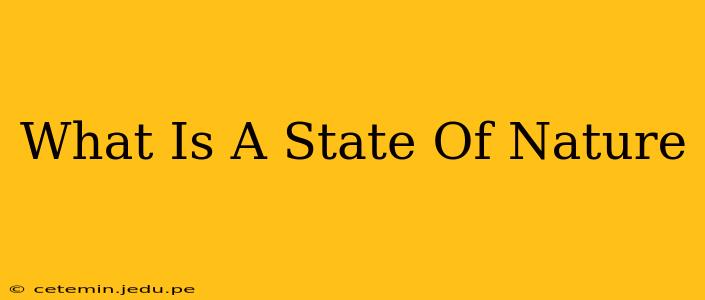 What Is A State Of Nature