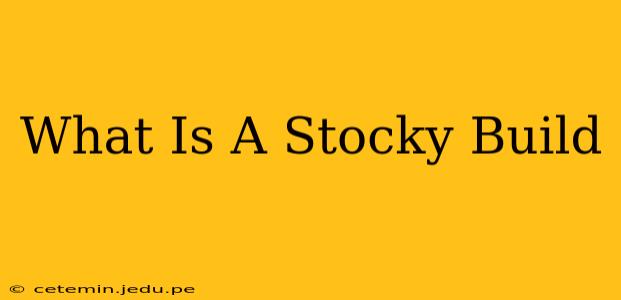 What Is A Stocky Build
