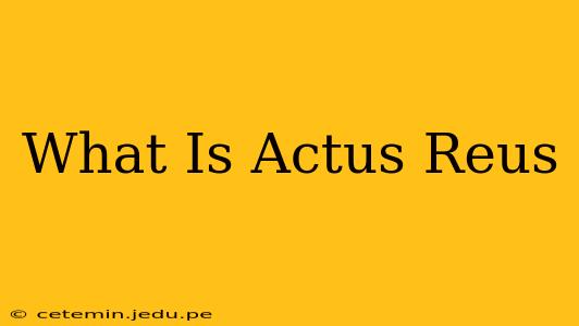What Is Actus Reus