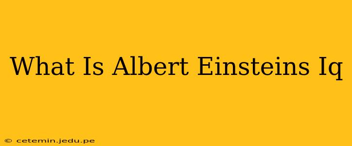 What Is Albert Einsteins Iq
