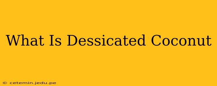 What Is Dessicated Coconut