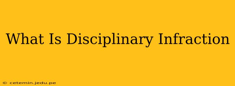 What Is Disciplinary Infraction